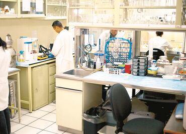 Hallan mutación genética que bloquea entrada del VIH en el organismo