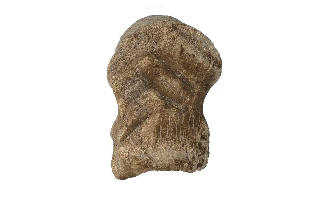 Imagen: Leder, D., Hermann, R., Hüls, M. et al. A 51,000-year-old engraved bone reveals Neanderthals’ capacity for symbolic behaviour. Nat Ecol Evol (2021).