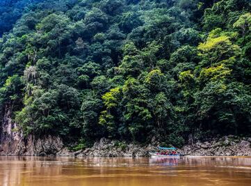 Puenting, la actividad de aventura en Tabasco que está causando sensación