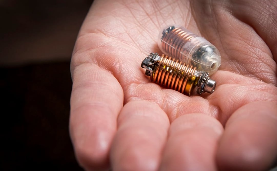 (FOTO: Real Instituto de Tecnología de Melbourne)