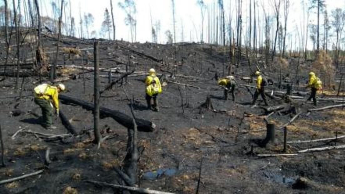 ​Concluye apoyo de combatientes mexicanos en incendios forestales de Canadá