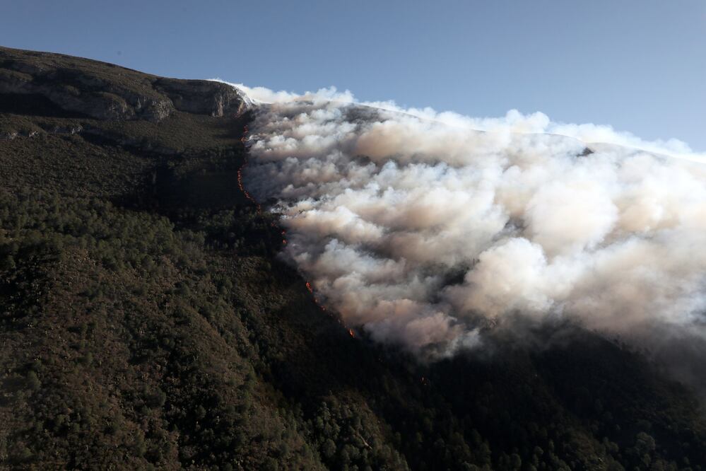 La Conafor también informó sobre la situación de incendios forestales en el país y detalló que hasta el momento hay 39 activos, distribuidos en 12 estados del país. Foto: EFE