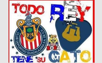 Los memes arrasan a los Pumas