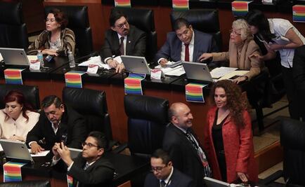 Senado aprueba "traje a la medida" para el nuevo titular del SAT