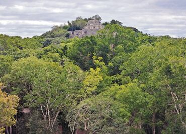 “Tren Maya despoja a pueblos originarios”