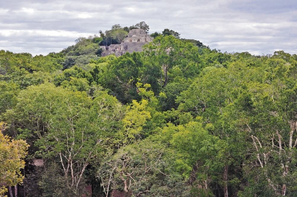 Los colectivos mayas reprochan que el proyecto impactará reservas naturales, como la que se encuentra en Calakmul, en el municipio de Campeche. Foto/CORTESÍA CCMSS-PY