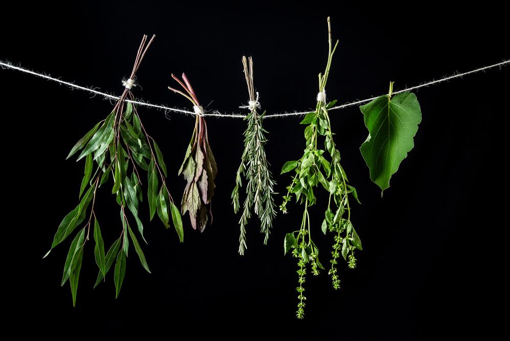 Herbolaria mexicana en la cocina. Foto: Jorge Garaiz.