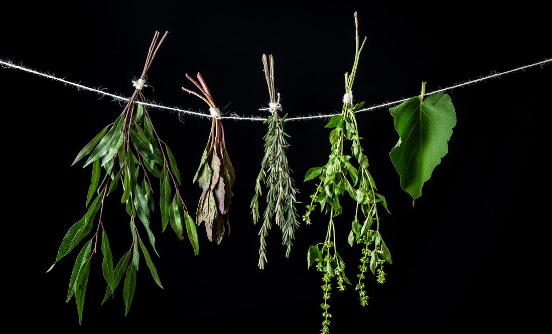 Herbolaria mexicana en la cocina. Foto: Jorge Garaiz.