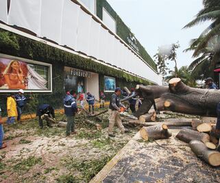 Paso de Zeta, sin daños mayores en Yucatán