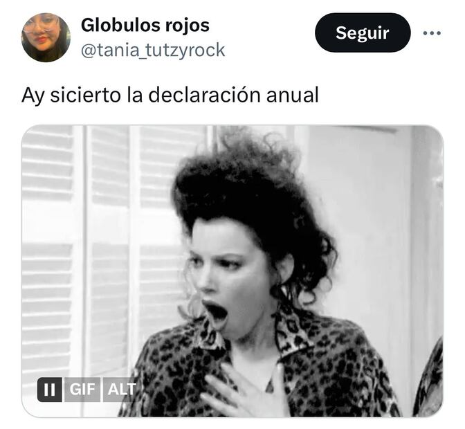 Los mejores memes de la declaración anual 2024. Foto: X