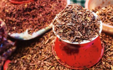 10 Mexican super foods you should include in your diet