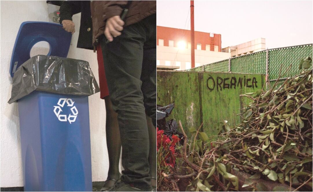 La UNAM planeó la construcción de 320 contenedores para interiores con cinco divisiones de lámina que consideren separaciones para desechos inorgánicos, botellas de plástico, latas, vidrio, papel y cartón (EL UNIVERSAL)