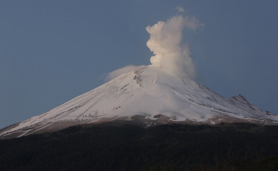 Foto: Archivo. EL UNIVERSAL