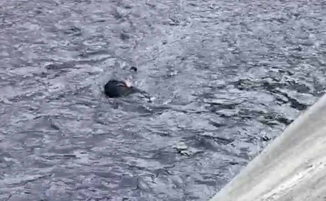 Autoridades de la Fiscalía General de Justicia del Estado de México indagan el hallazgo del cuerpo. Foto: Tomada de video