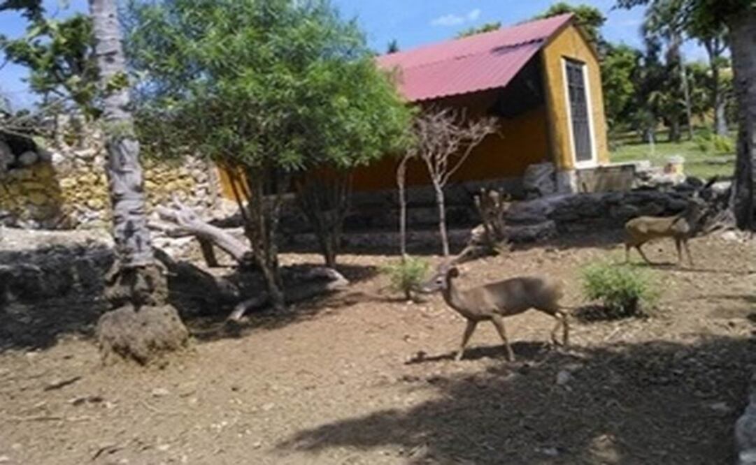 (Foto:Yazmin Rodríguez Galaz)