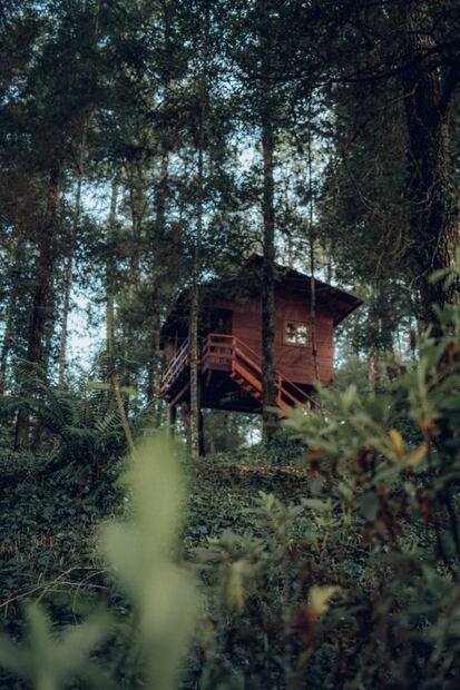 11 planes increíbles para pasar el 15 y 16 de septiembre 