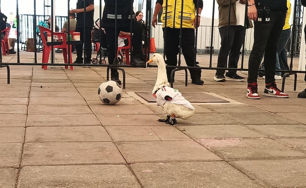 Pato Merlín. Embajador del Mundial 2026, visita el Gol Fest en el Parque Naucalli, en Naucalpan. Foto: especial