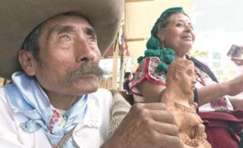 Foco. ¿Otro molito, señor senador?