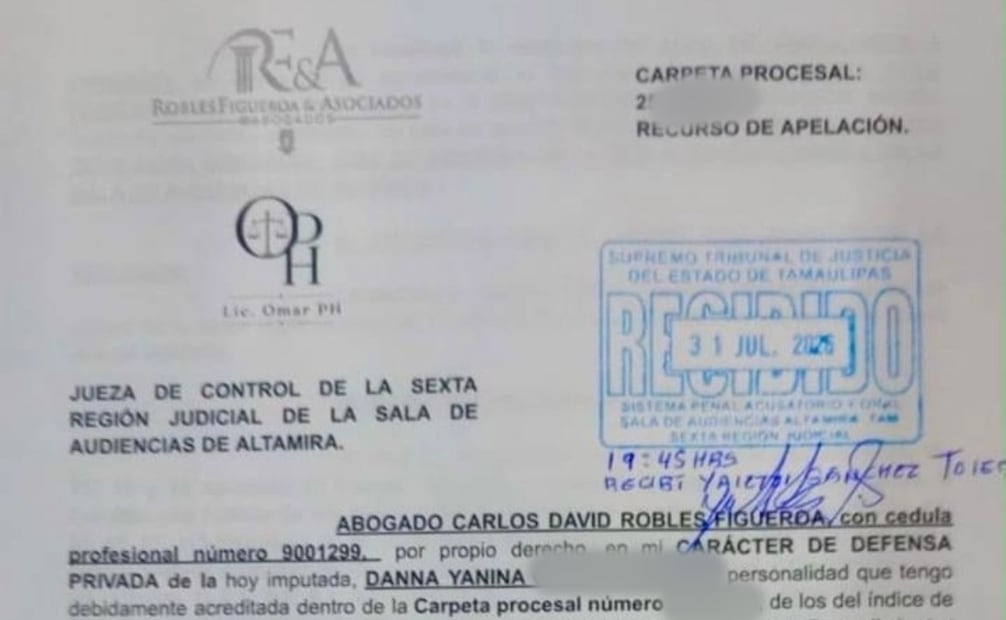 “El recurso de apelación consiste en que se puntualizan cada uno de los agravios en los que incurrió la autoridad”, señalan abogados. | Foto: Especial.