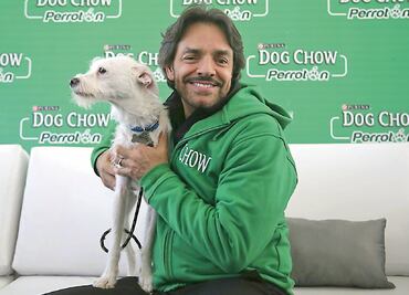 Kate tuvo una mala asesoría: Derbez