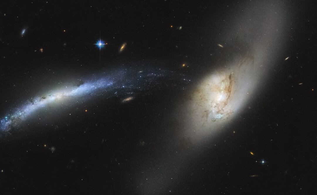 Foto: ESA/Hubble & NASA, SDSS, J. Dalcanton
