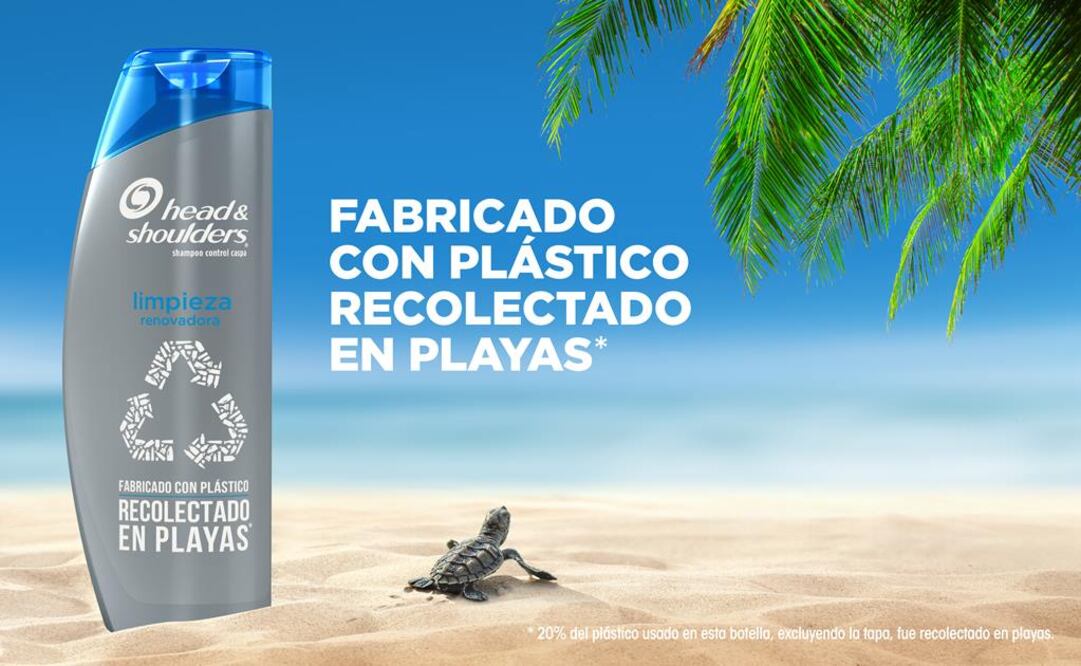 Si te preocupa la contaminación de los océanos, tenemos un regalo perfecto para ti