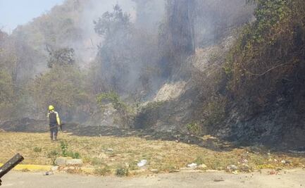 Autoridades en Venezuela combaten incendios forestales en varios estados atizados por los fuertes vientos