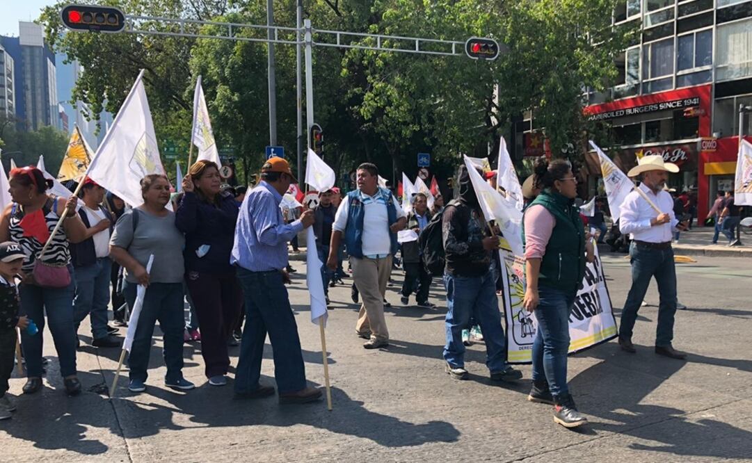 Foto: Diego Prado / EL UNIVERSAL