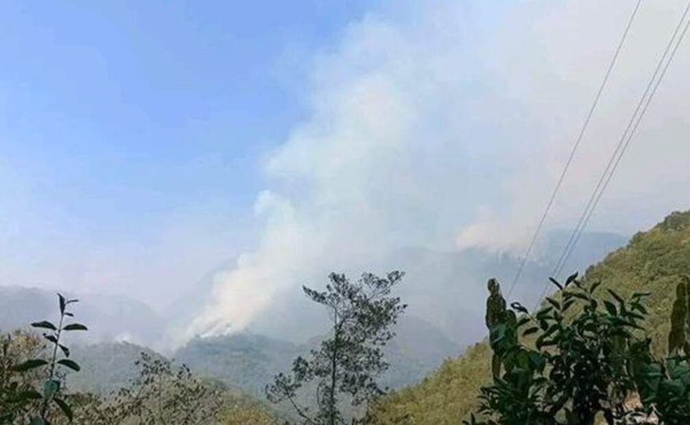 En el Istmo de Tehuantepec, seis incendios forestales activos consumen hectáreas de pino encino y ocote. Foto: especial