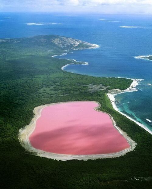 Conoce el lago rosa de Australia