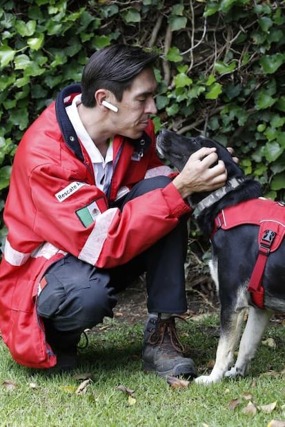 Perro rescatado en sismo es entrenado para ayudar a los bomberos