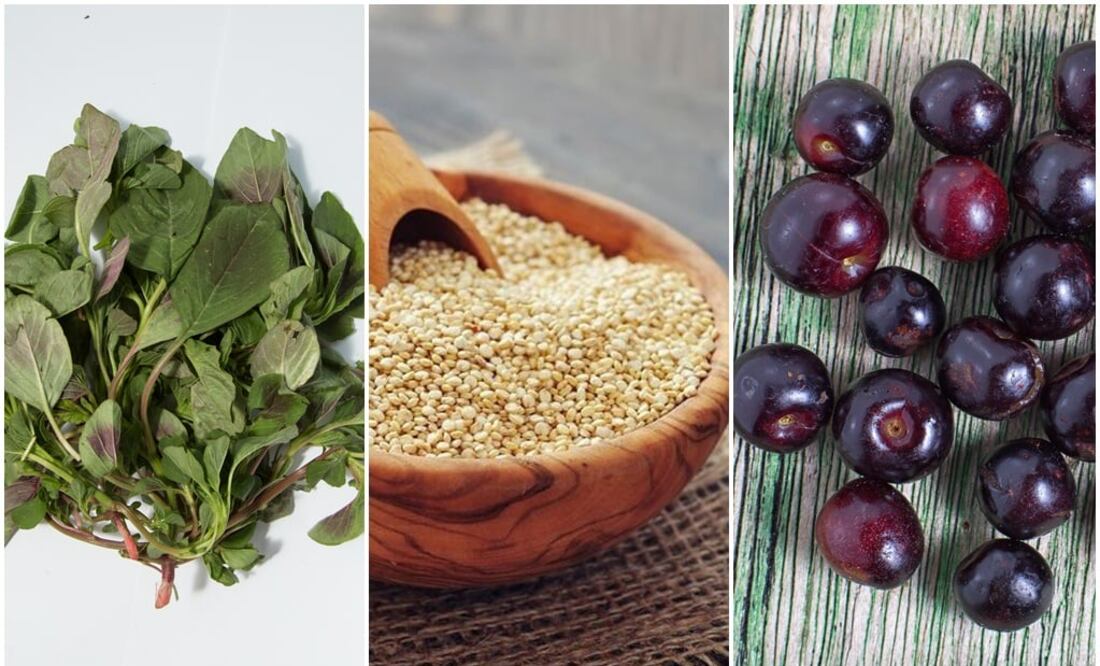 Fotos: istock / El Universal