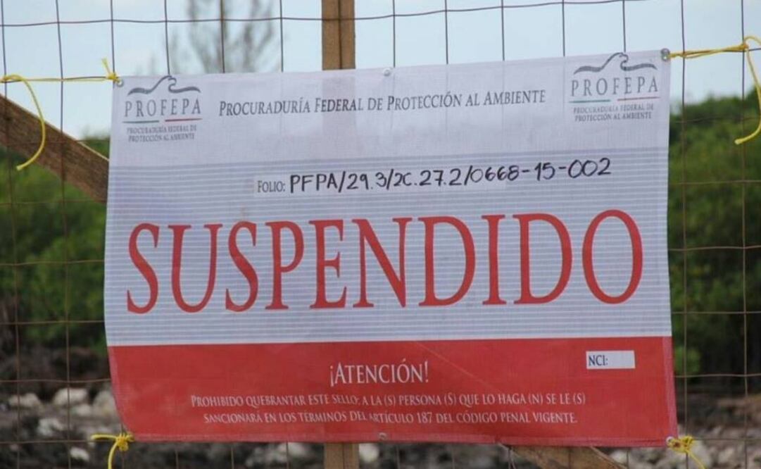 Foto: @PROFEPA_Mx