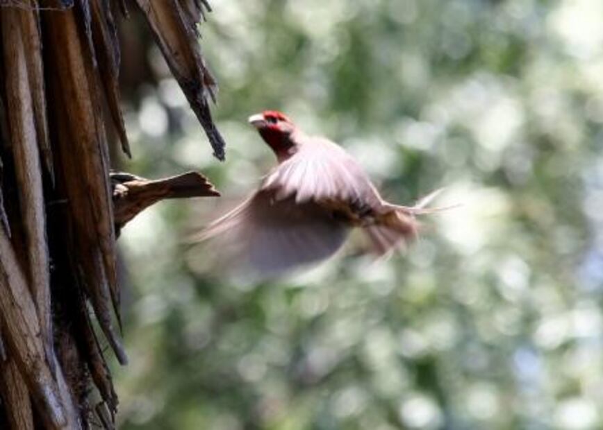 11 actividades gratuitas en la CDMX