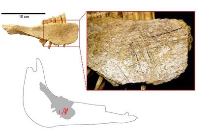 Los primeros humanos llegaron a América 10 mil años antes