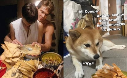 Día de la Candelaria: los mejores memes para acompañar los tamales este 2 de febrero
