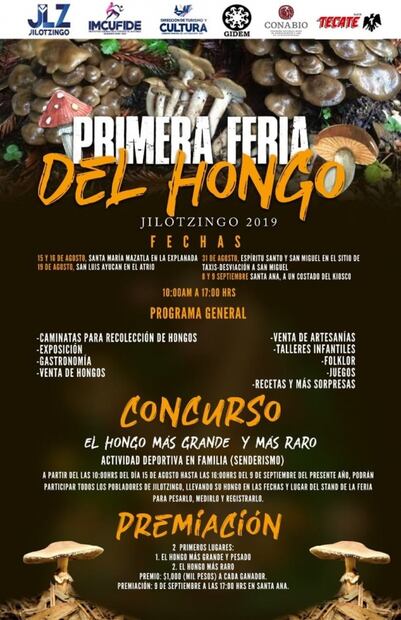 Asiste a la Primera Feria del Hongo de Jilotzingo 2019