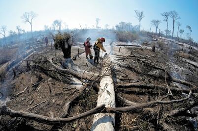 Europa, cómplice del daño por incendios en la Amazonia