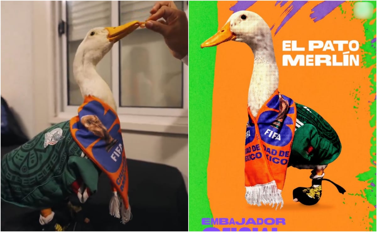 FIFA anuncia al pato Merlín como embajador oficial; usuarios