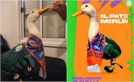 FIFA anuncia al pato Merlín como embajador oficial; usuarios exigen regalías para la familia