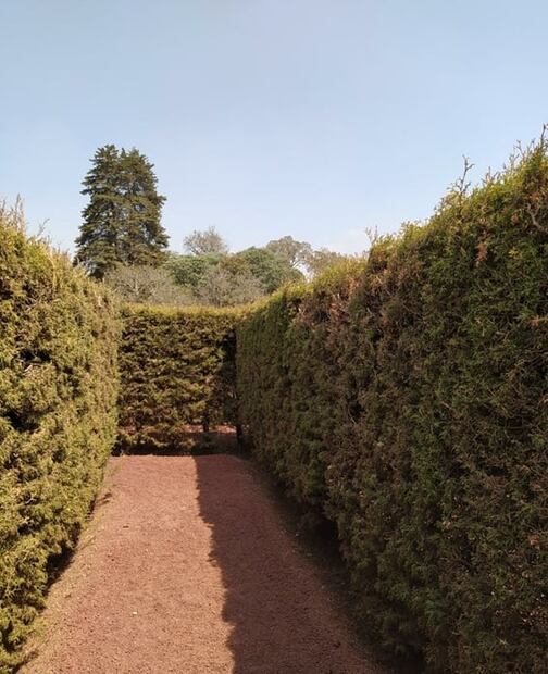 ¿Cuánto cuesta la entrada al laberinto de la Hacienda Panoaya en Edomex?