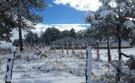 Chihuahua y Durango se cubren de nieve por tormenta invernal