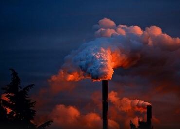 ¿Cómo afecta la contaminación a la salud?