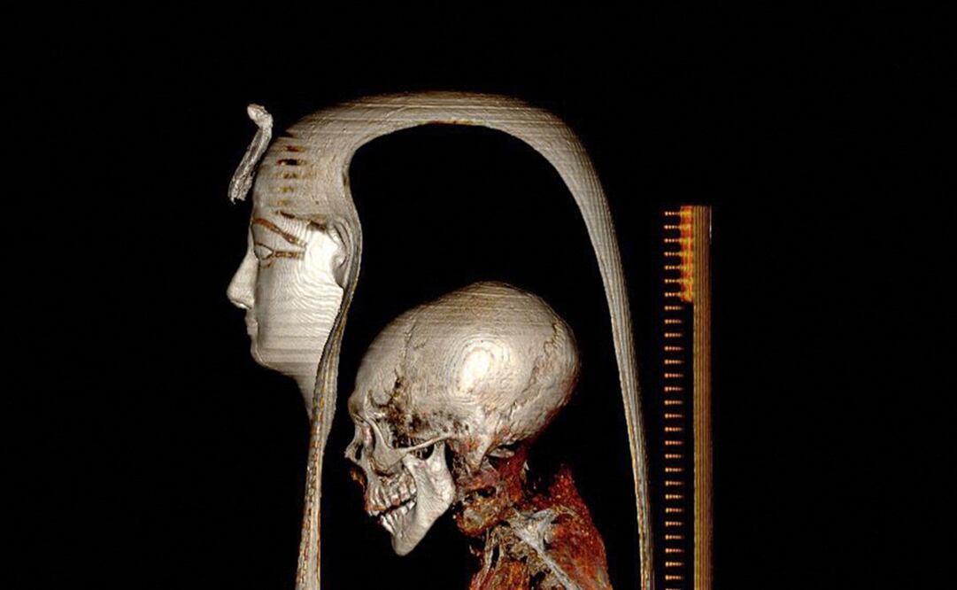 Imagen: Egyptian Ministry of Antiquities / AFP