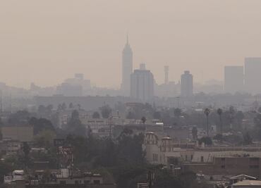 La contaminación atmosférica puede empeorar la salud ósea