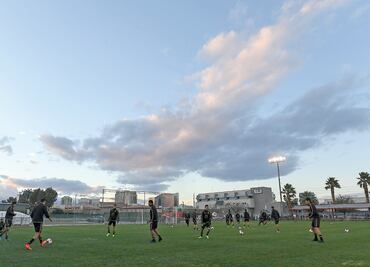 Pese a inquietud, irán al estadio