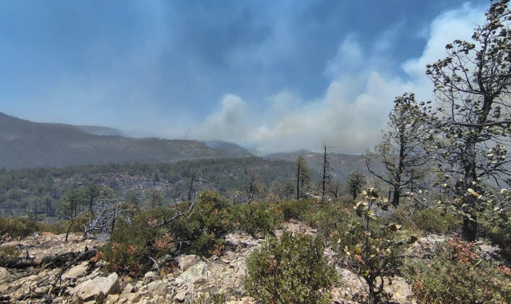 Incendios forestales continúan afectando a Chihuahua; solicitan aplicar el plan DN- III. Foto: especial