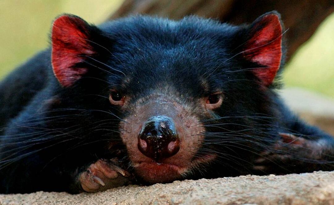 Fotografía de archivo EFE