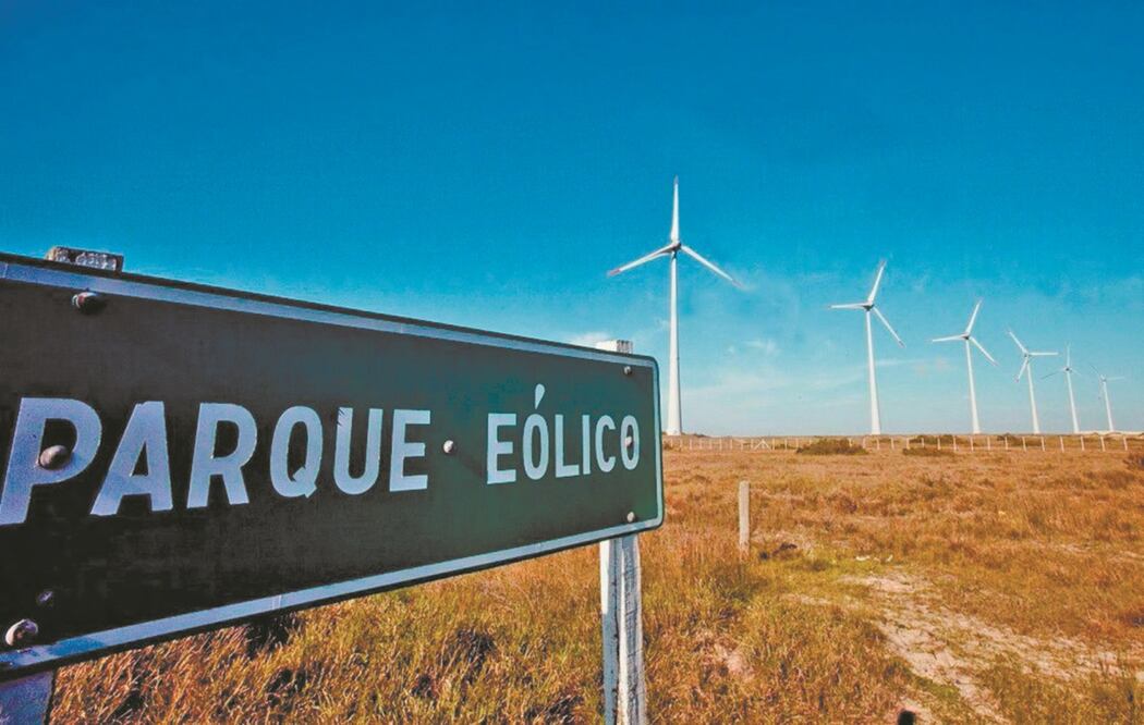 La CFE ha cancelado varias licitaciones para instalar parques eólicos, pues está en desacuerdo con este tipo de infraestructura. Fotos: ESPECIALES