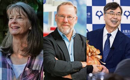 Estudios sobre el sistema inmune ganan el Nobel